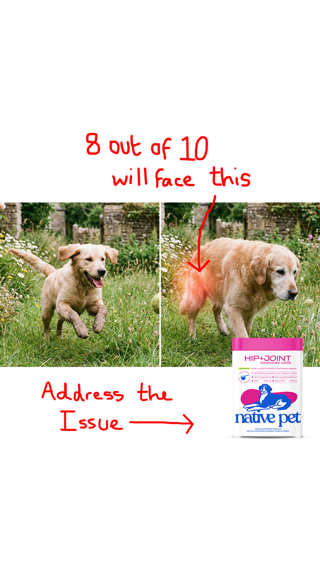 Native Pet Facebook ad