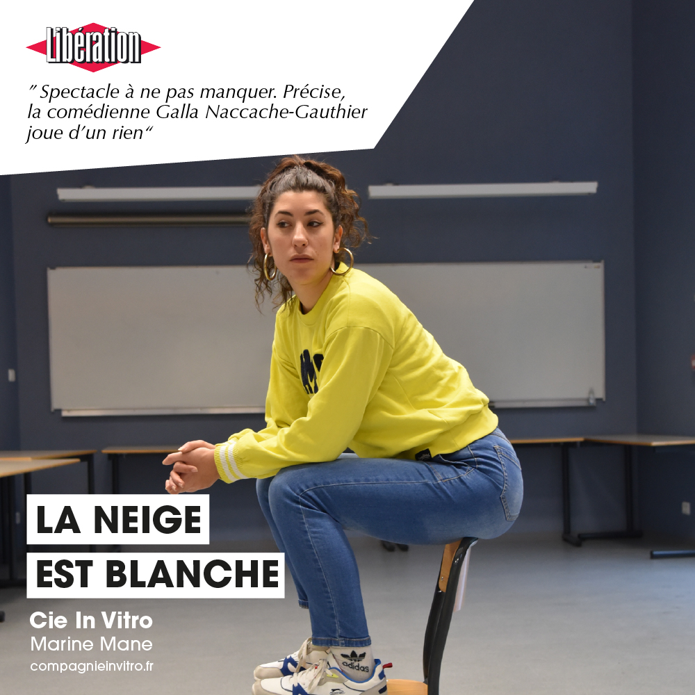 Cie In Vitro / Marine Mane Facebook ad: Une jeune adolescente s’enfonce seule dans la montagne…
