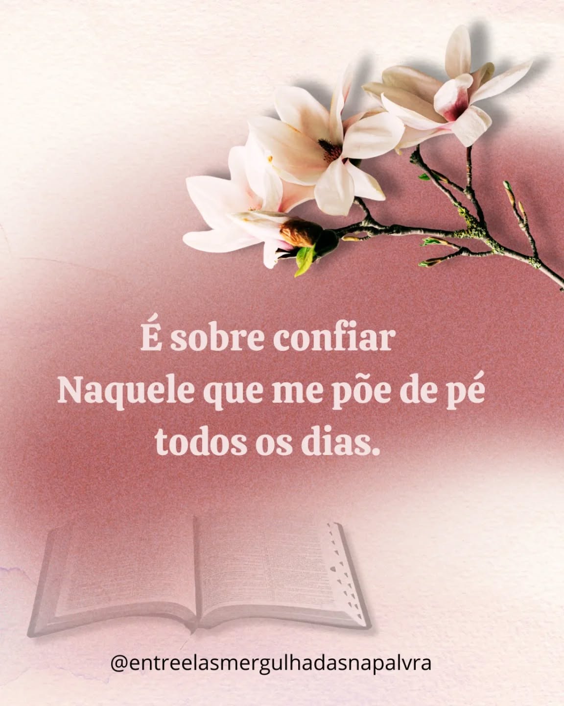 entreelasmergulhadasnapalavra Facebook ad: Devocional