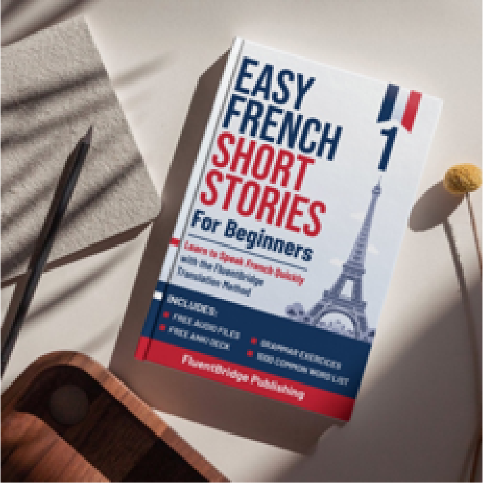 FluentBridge Publishing Facebook ad: Stuck with French? This book changes everything!