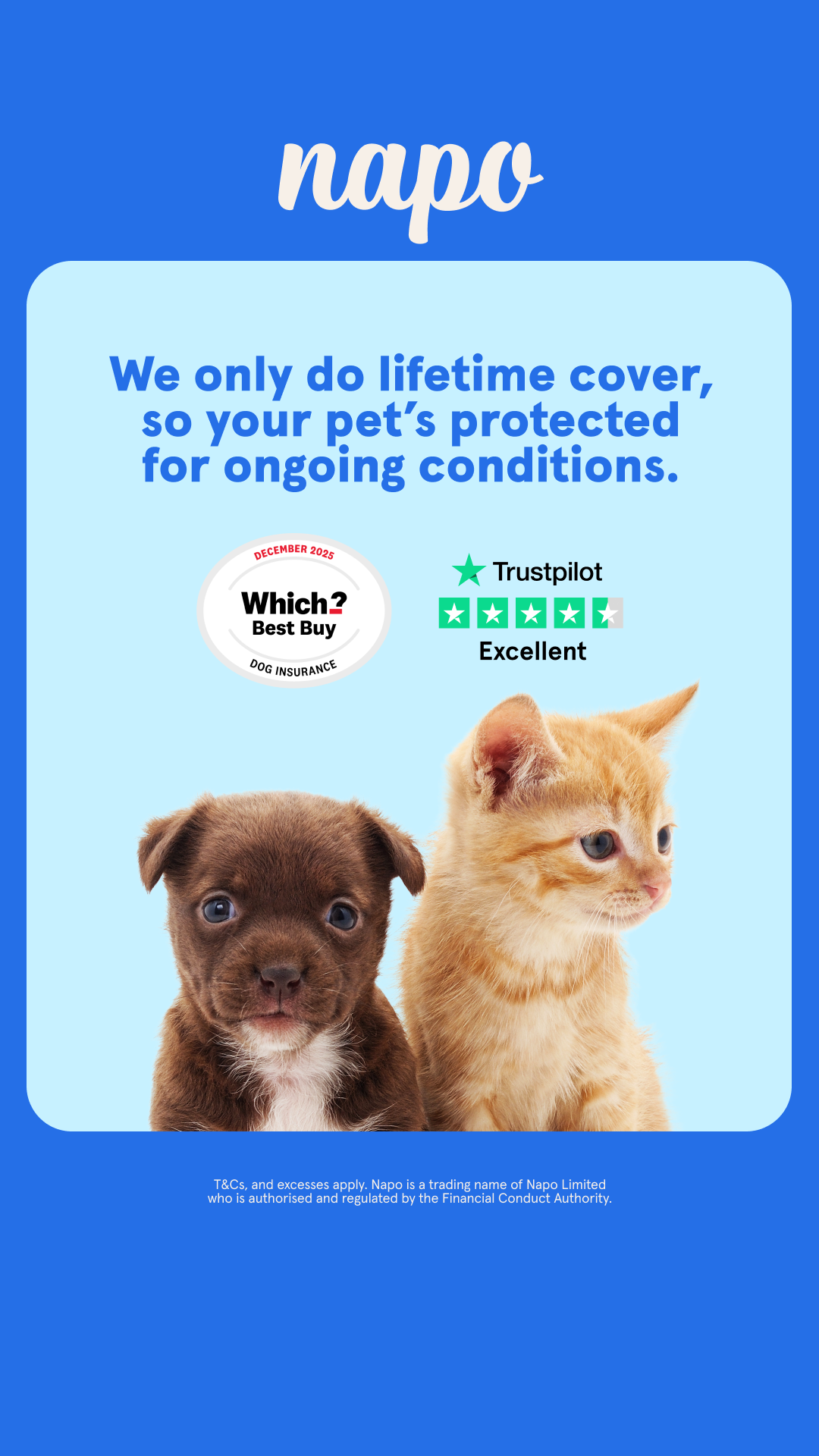 Napo Pet Insurance Facebook ad