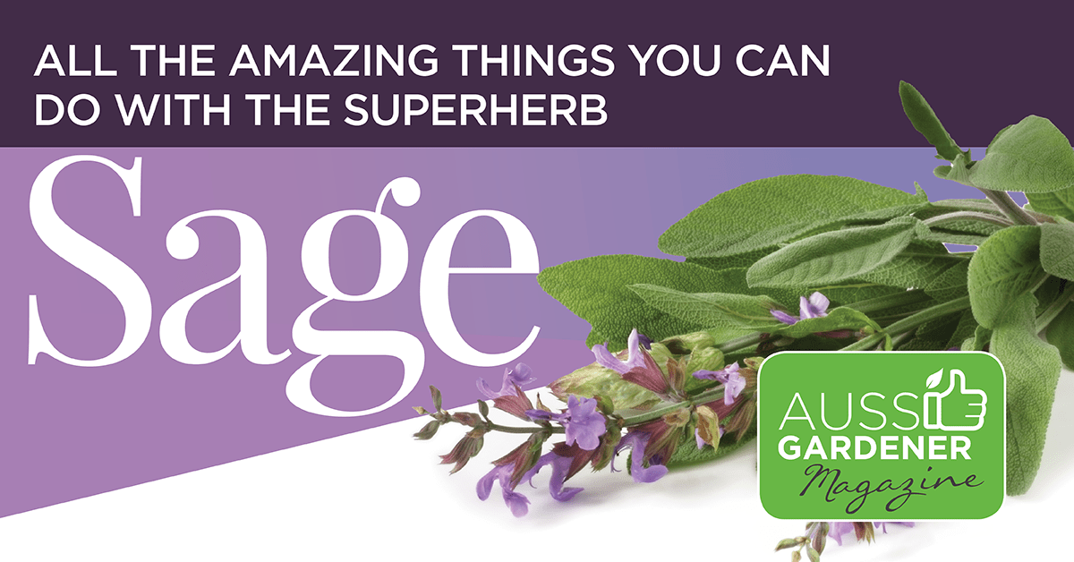 Aussie Gardener Store Facebook ad