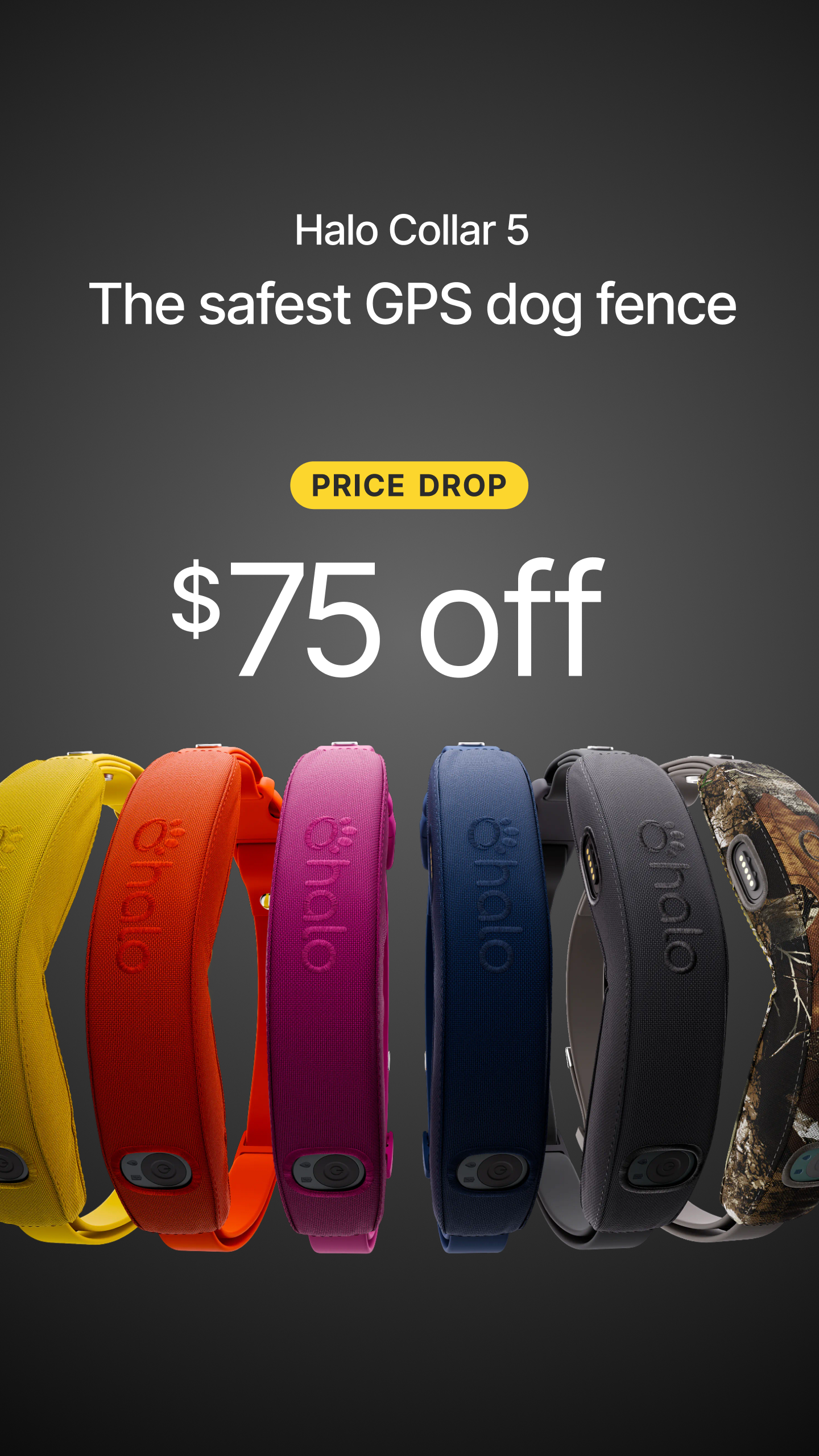 Halo Collar Facebook ad