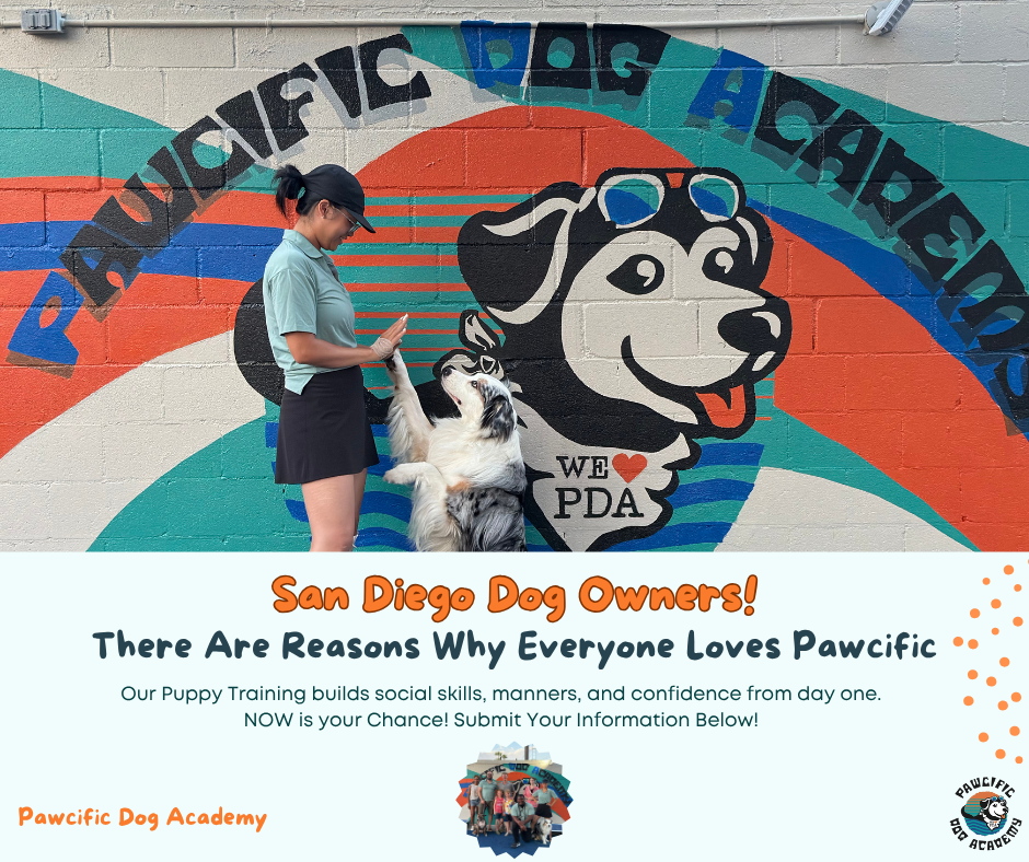 Pawcific Dog Academy Facebook ad: Transform Your Dog Fast