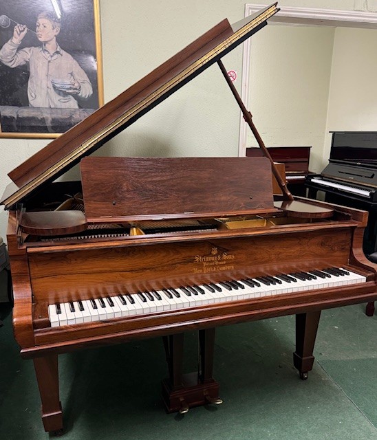 Brighton Piano Warehouse Facebook ad: Fabulous Pianos for Sale in Brighton - Brighton Piano…