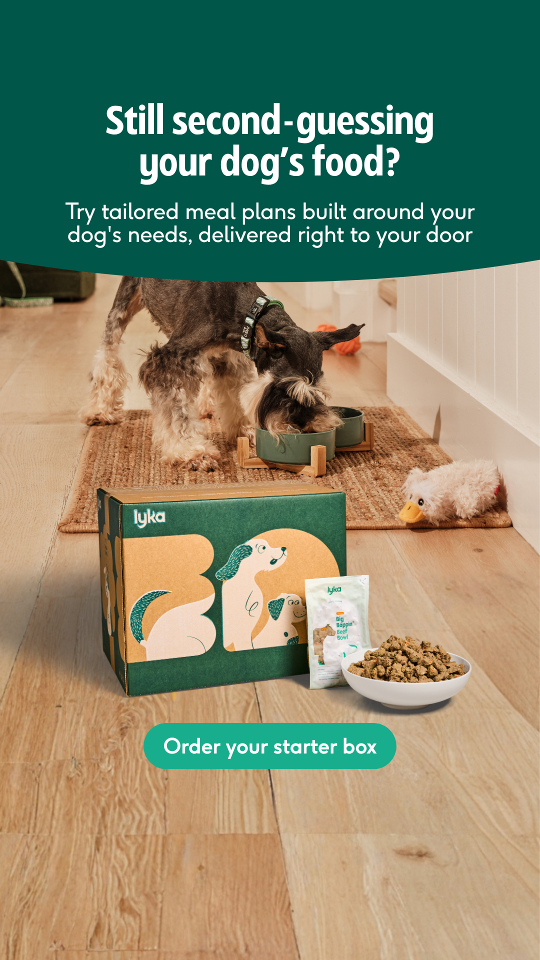 Lyka Pet Food Facebook ad