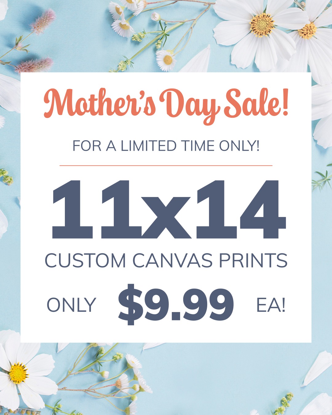 Canvas On The Cheap Facebook ad