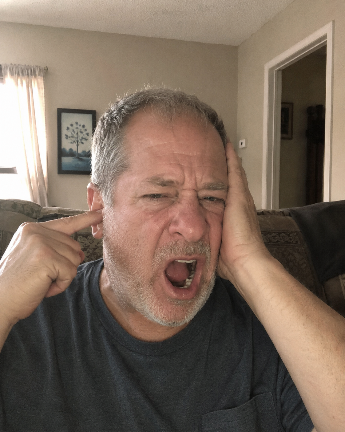 The Silence Institute Facebook ad: The body part NOBODY checks for tinnitus (it's not the ears)