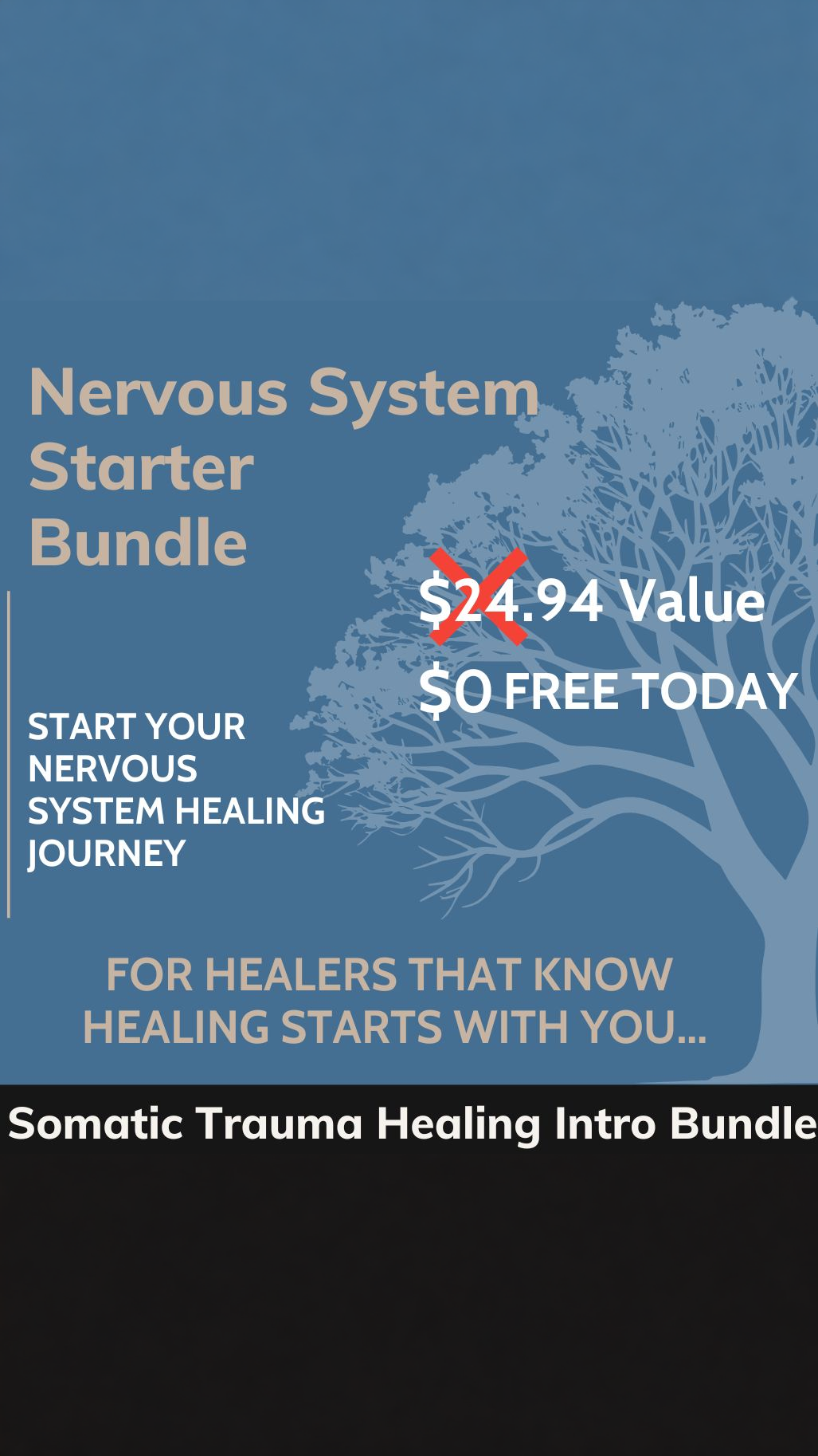 VoseSomatic Facebook ad