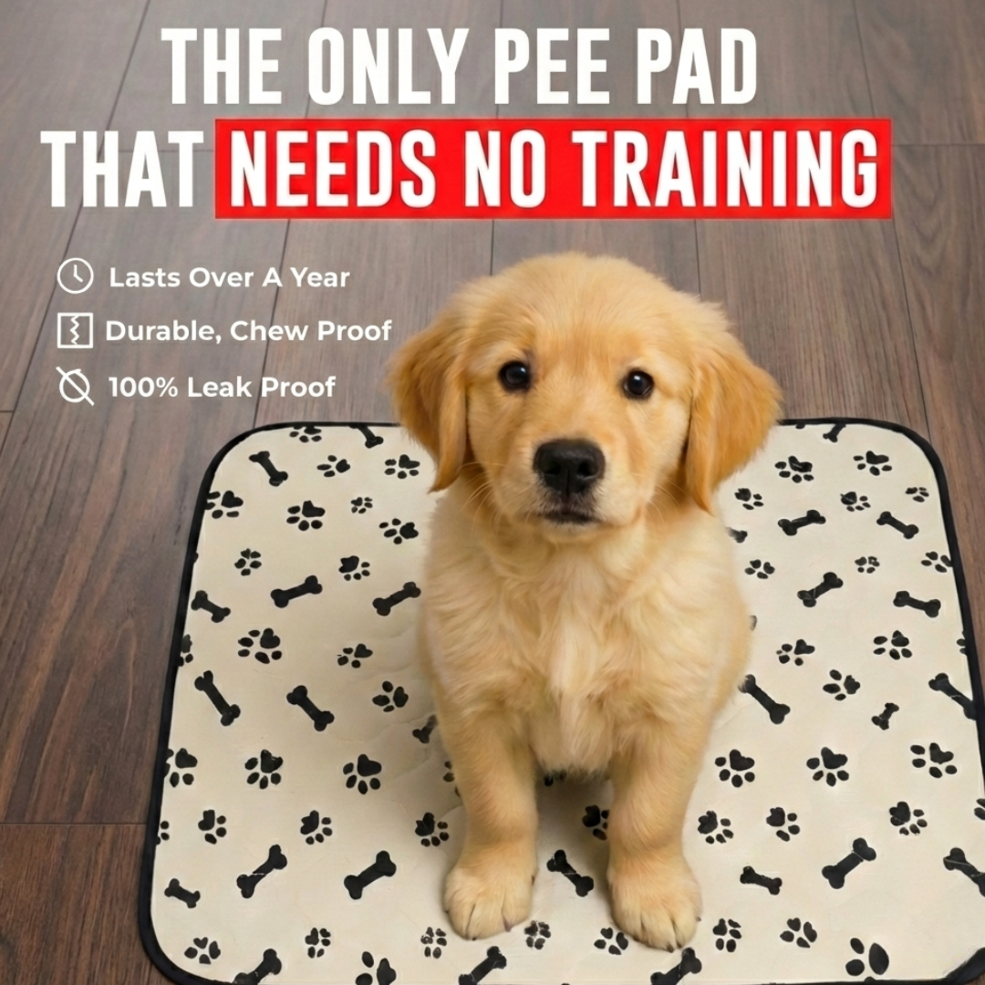 Teddy's Choice Facebook ad: No puppy training needed-dogs just use it