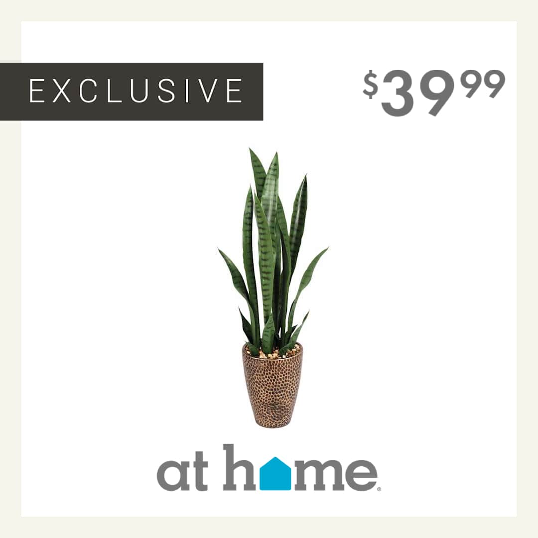 At Home Facebook ad
