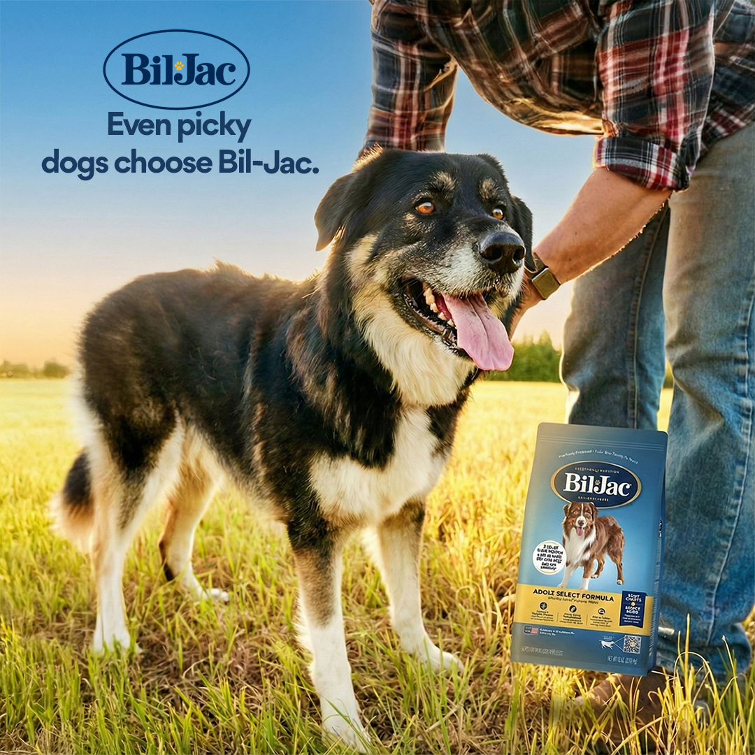Bil-Jac Facebook ad from Jan 14, 2026