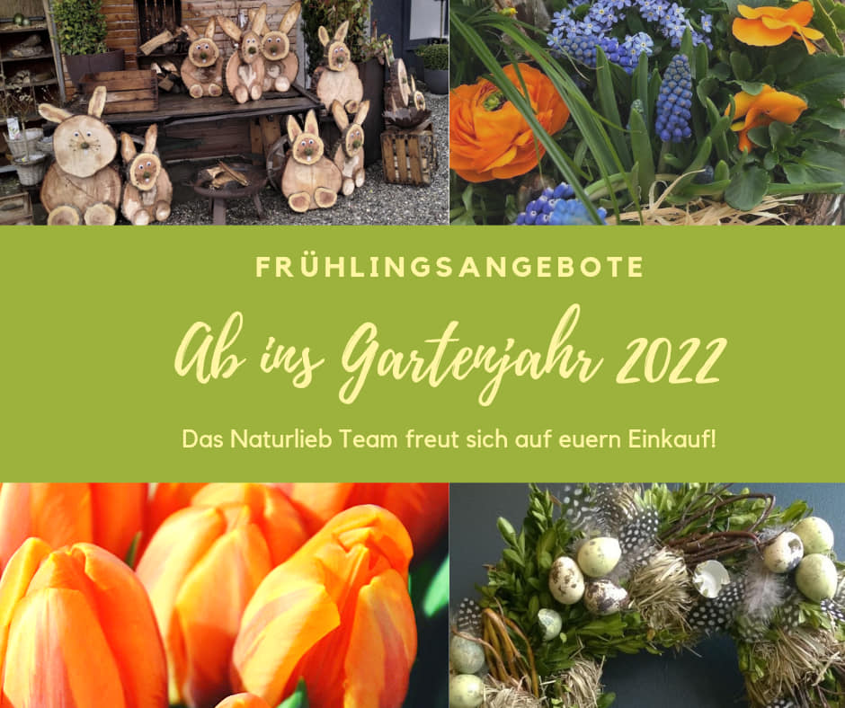 Naturlieb - Gärtnerei Baum & Gartendesign Facebook ad: Freut ihr euch auch so auf die Farbenpracht…