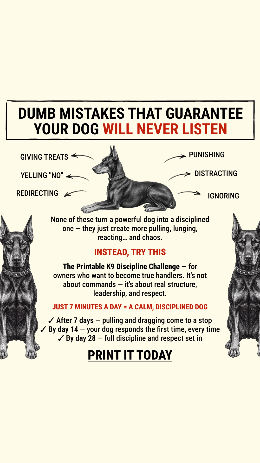 Dog Training Program Facebook ad: Take the lead. Start now