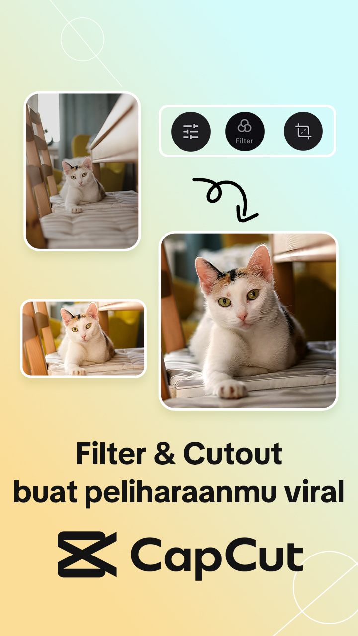 CapCut Facebook ad