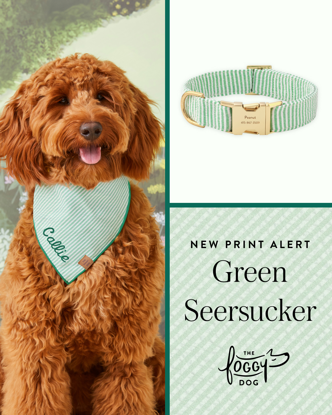 The Foggy Dog Facebook ad