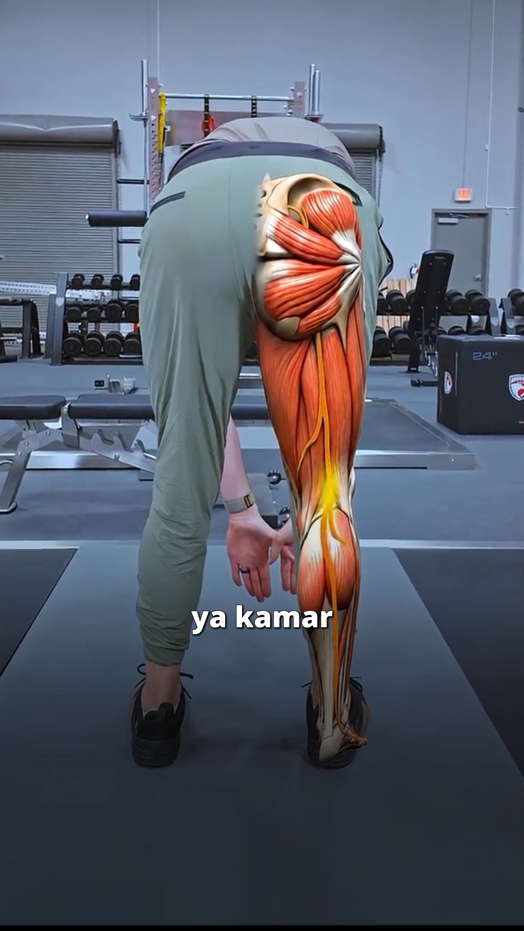 Zanskar: Muscle & Joint Relief Facebook ad from Aug 23, 2026