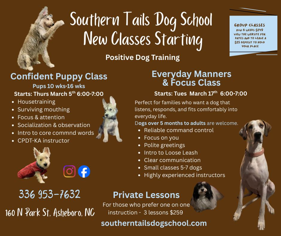 Southern Tails Dog School Facebook ad from Feb 25, 2026