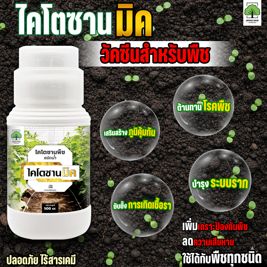 ไคโตซานมิค ป้องกันโรคพืช เชื้อรา ไวรัส แบคทีเรีย แมลง Facebook ad