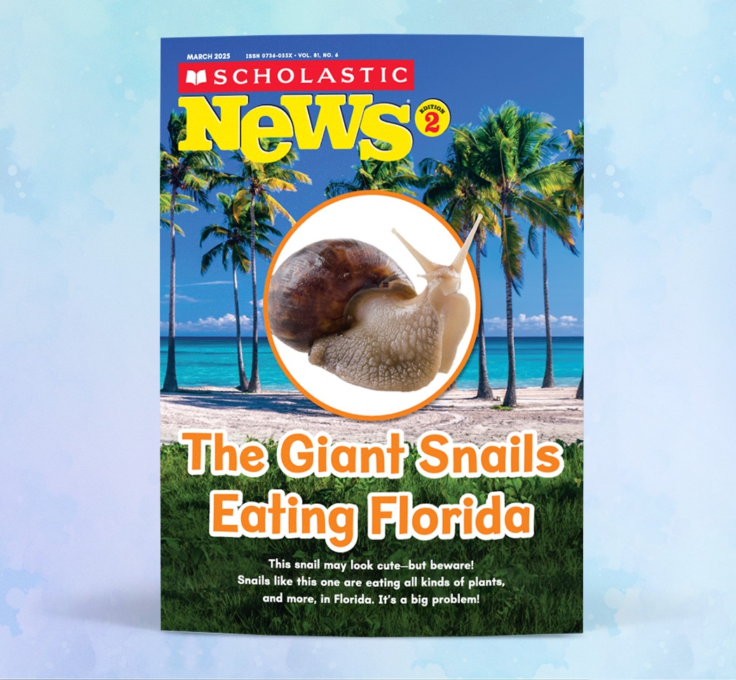 Scholastic Teachers Facebook ad