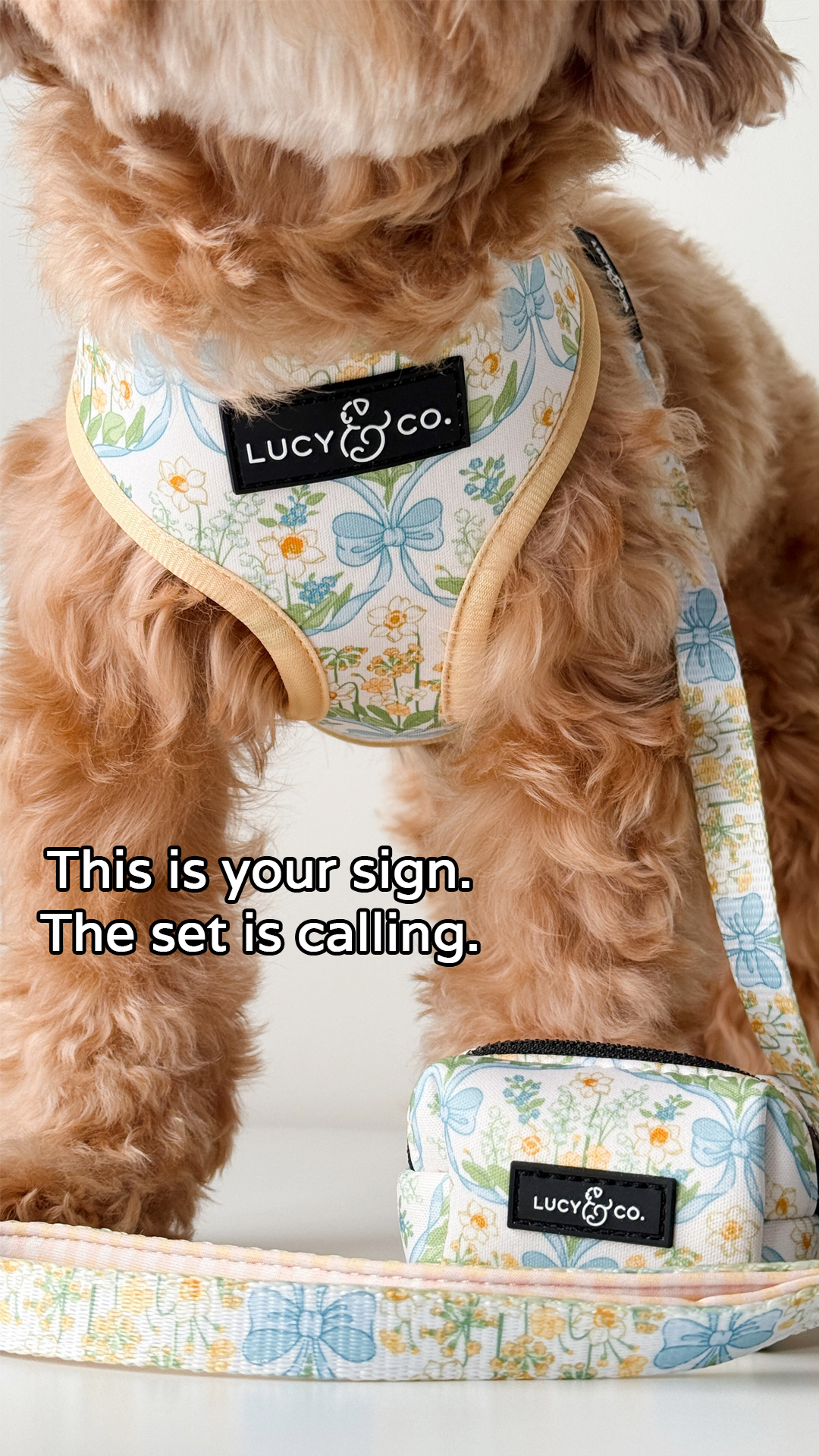 Lucy & Co. Facebook ad