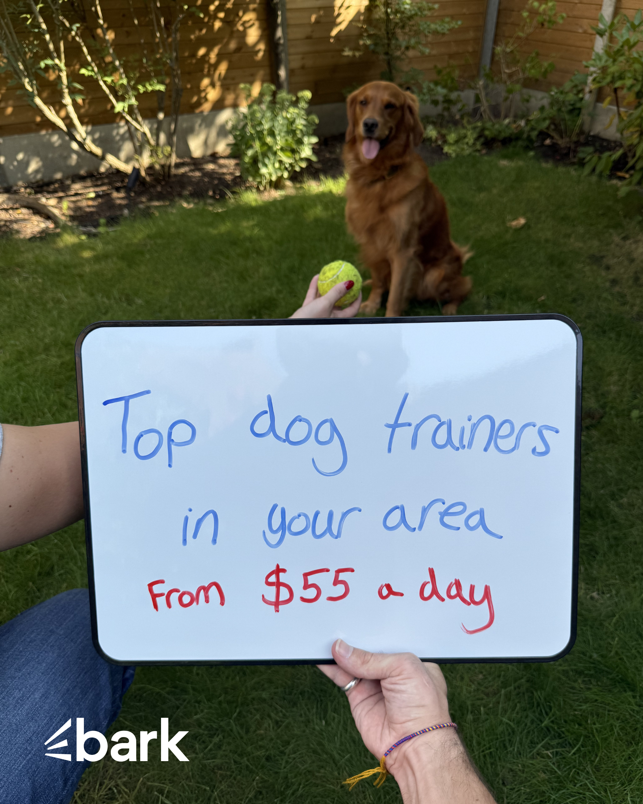 Bark.com Facebook ad
