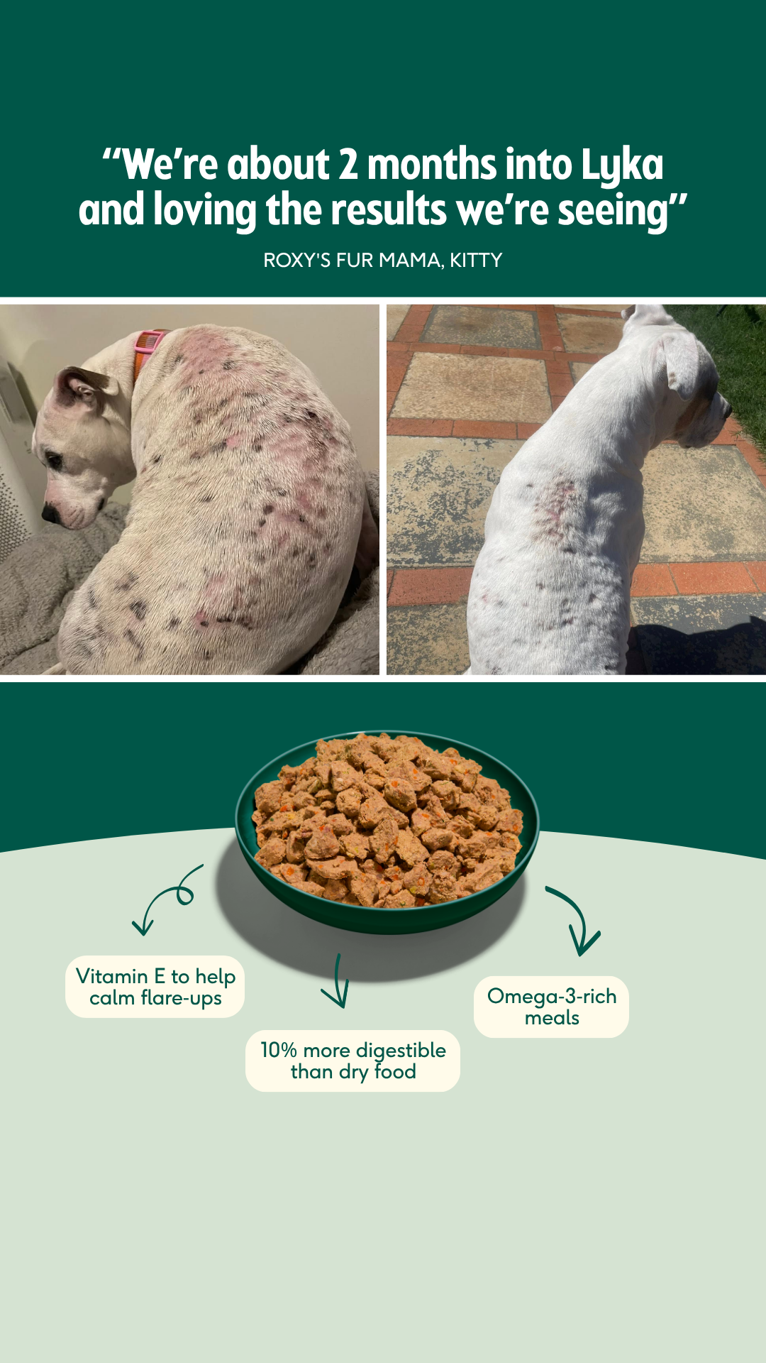 Lyka Pet Food Facebook ad