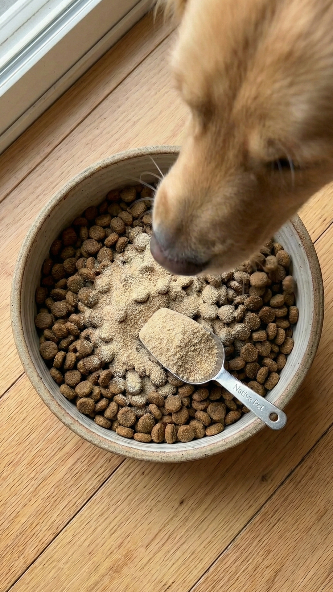 k9healthdaily Facebook ad from Feb 24, 2026