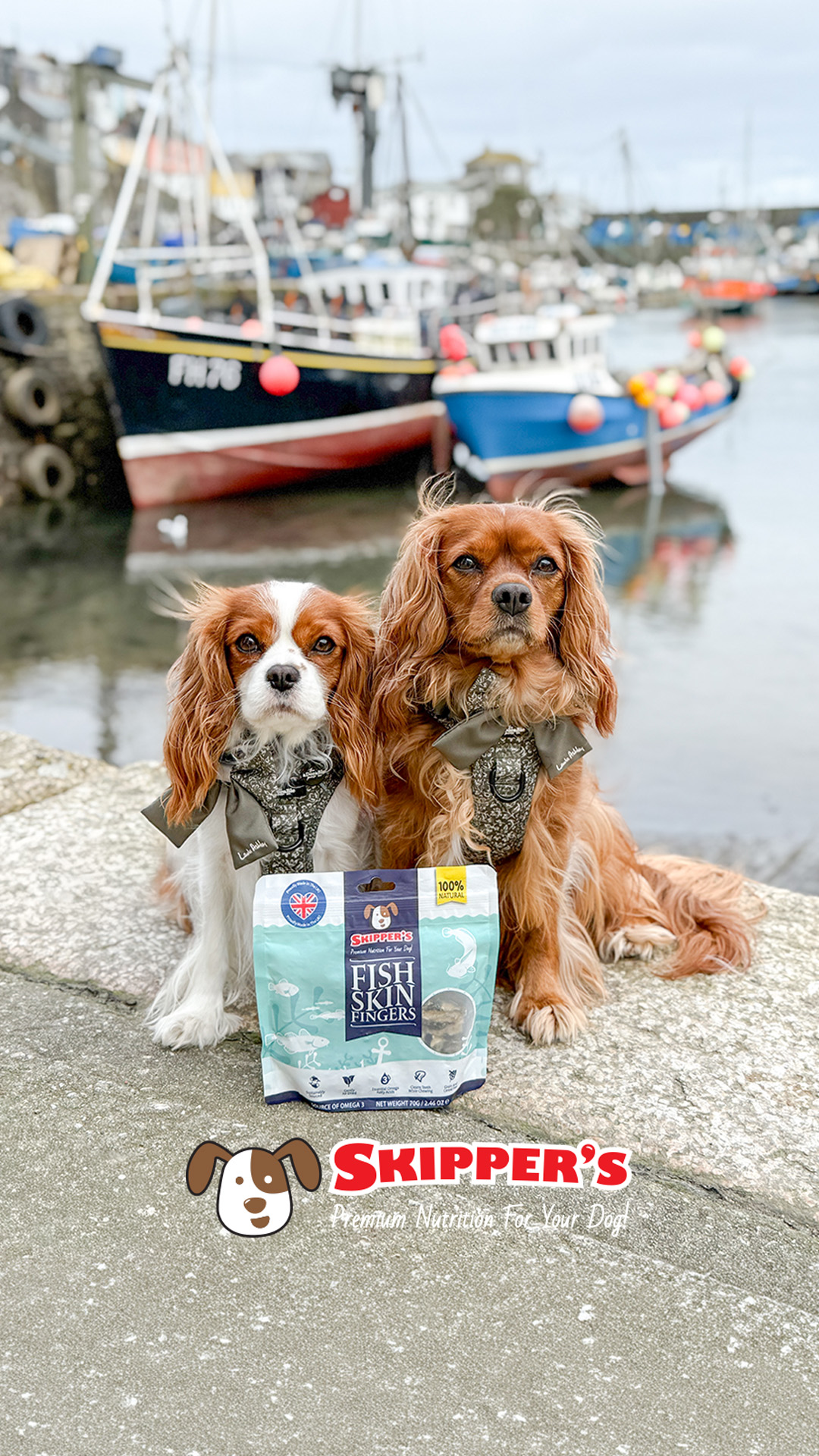 Skipper's Pet Products Facebook ad