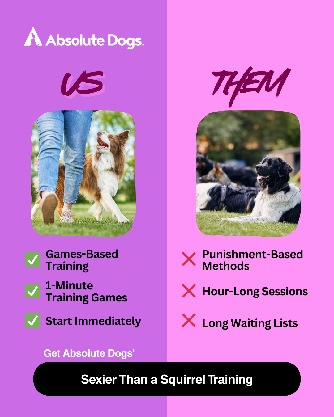 absoluteDOGS Facebook ad