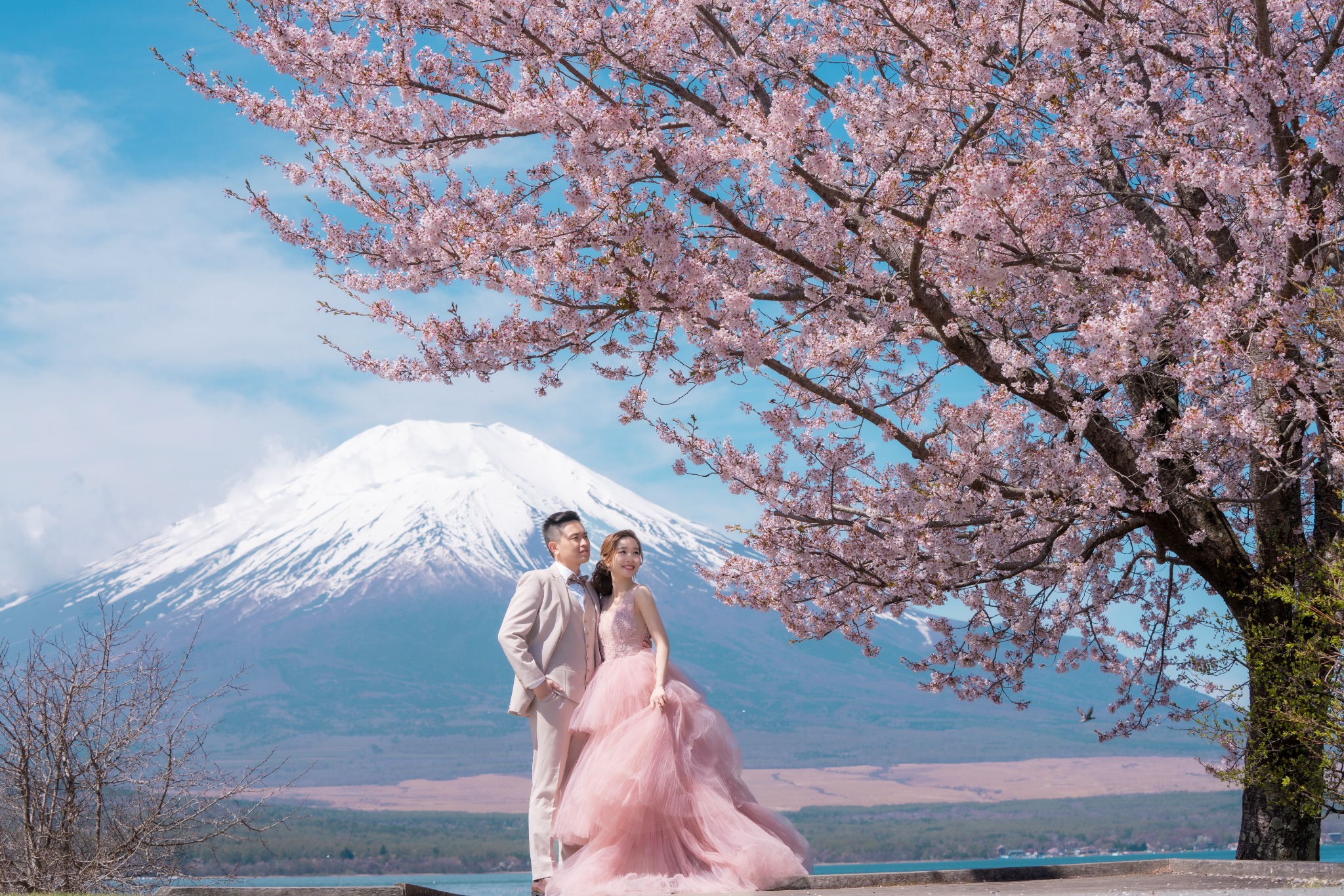 AT studio 婚紗攝影Pre Wedding Photography 禮服租賃 Bridal Dress Rental Facebook ad