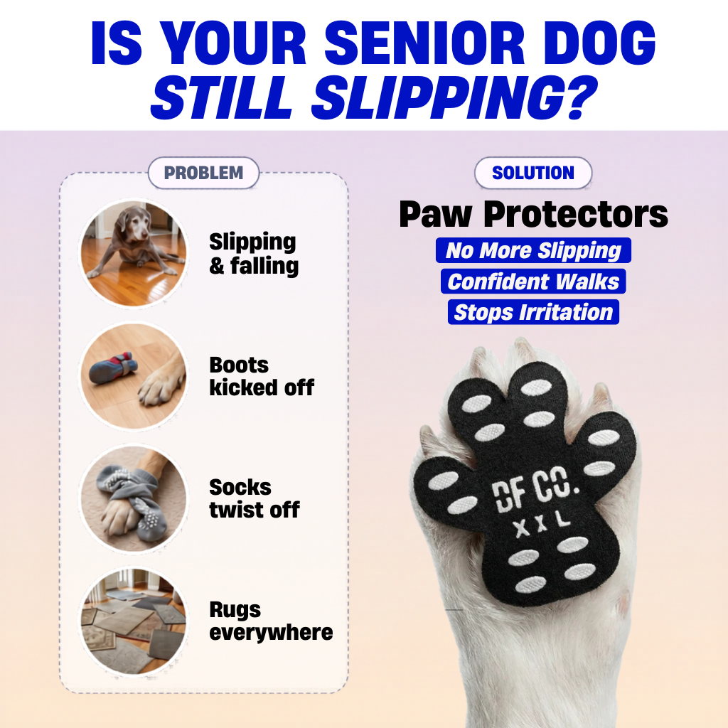 Dog Friendly Co. Facebook ad