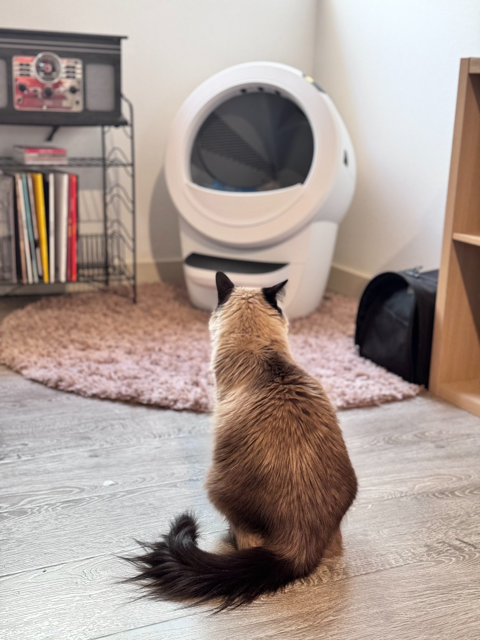 Litter-Robot by Whisker Facebook ad