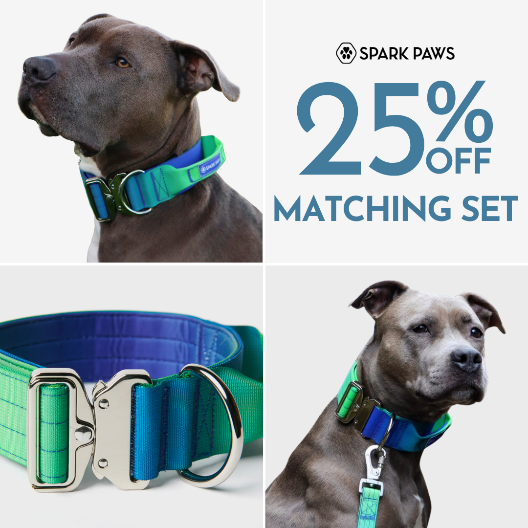 Spark Paws Facebook ad