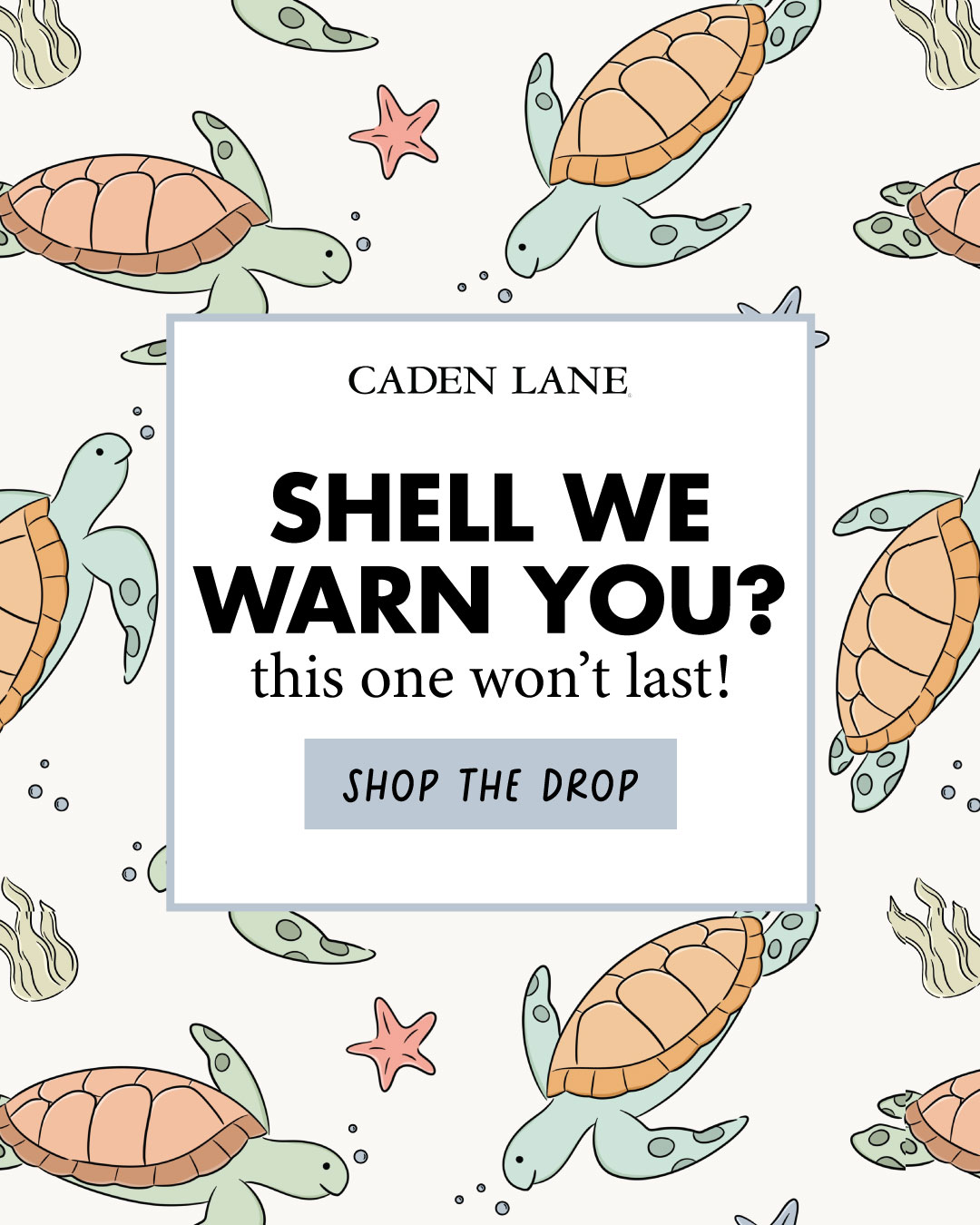 Caden Lane Facebook ad