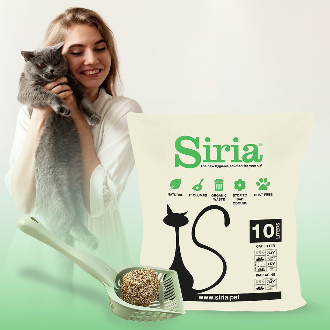 Siria Facebook ad