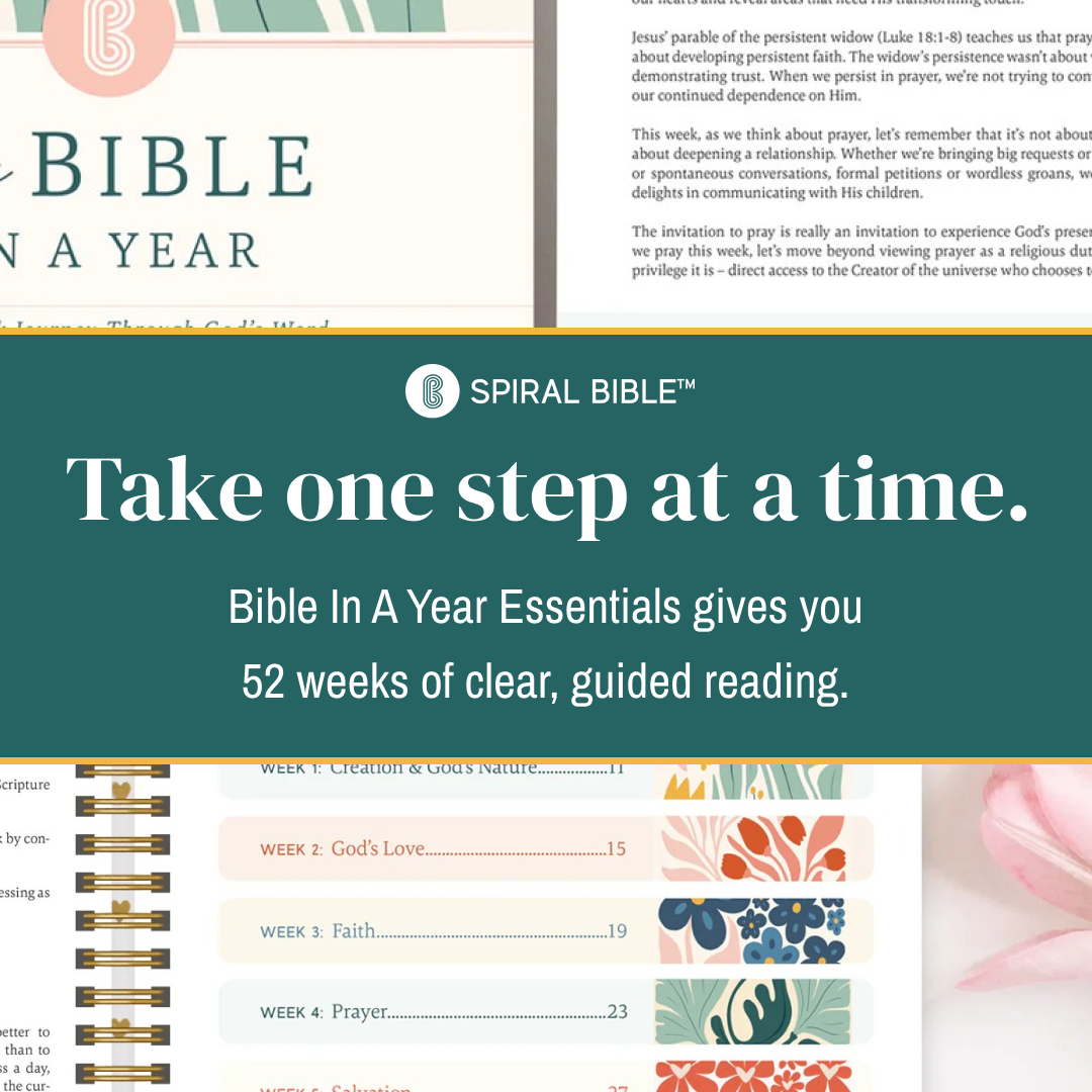 Spiral Bible Facebook ad