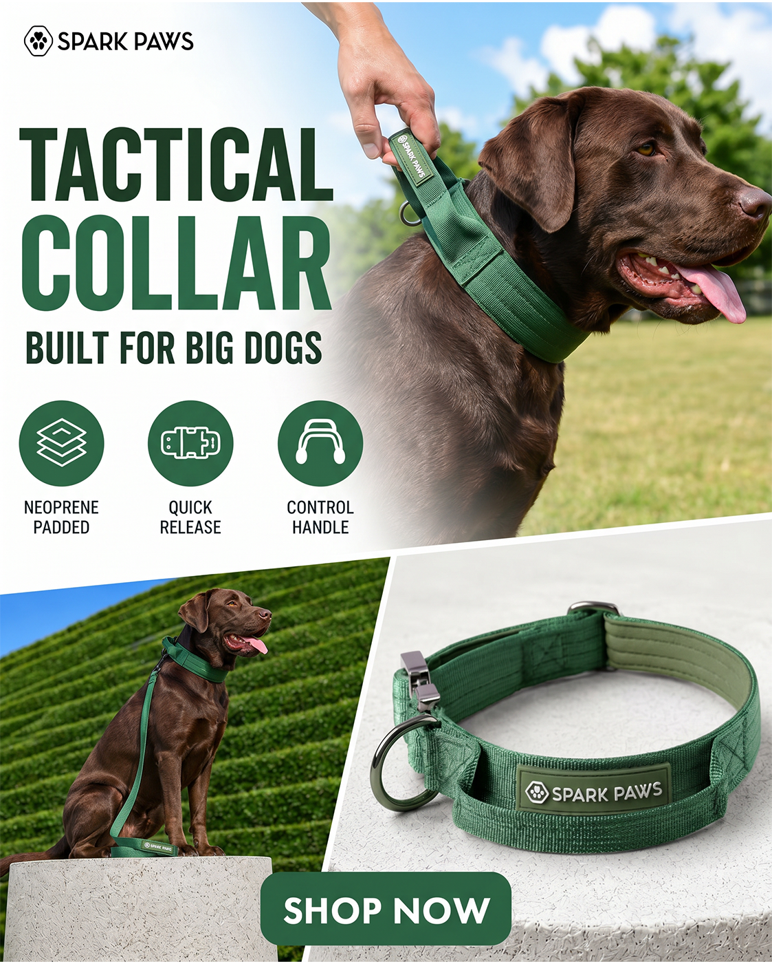 Spark Paws Facebook ad