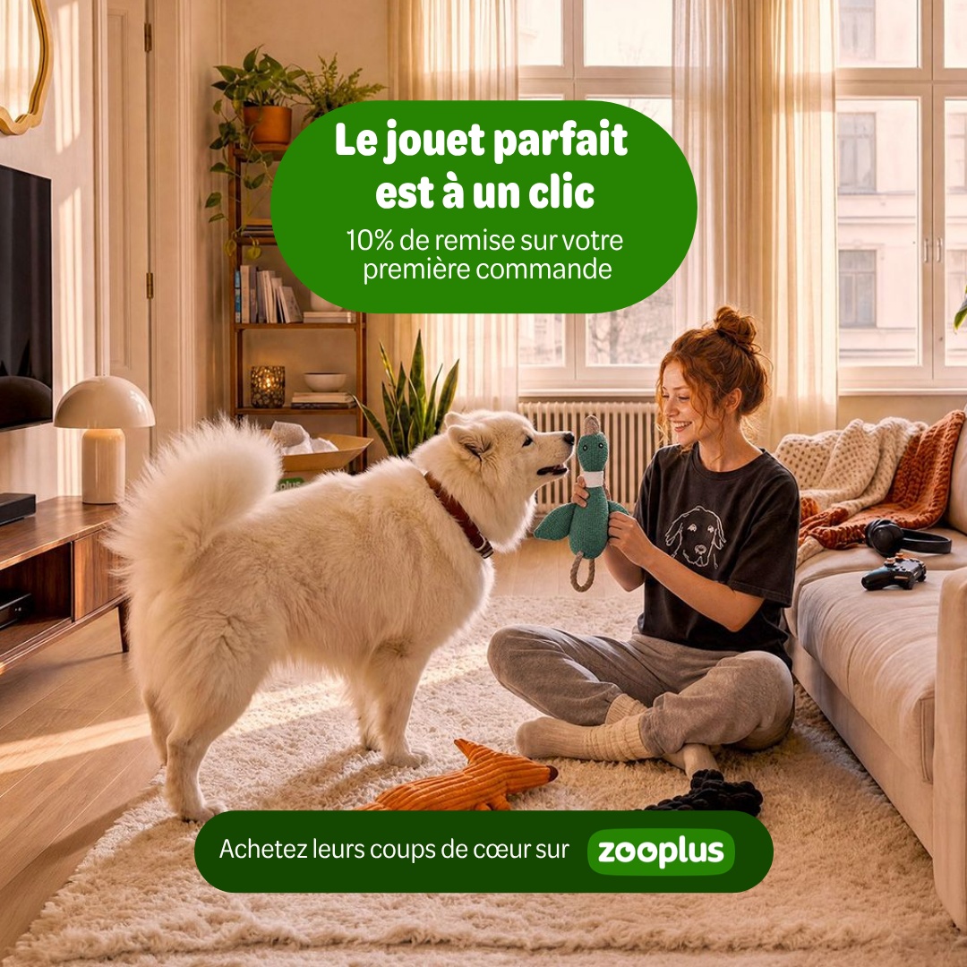 zooplus Facebook ad: Nourriture et accessoires pour animaux