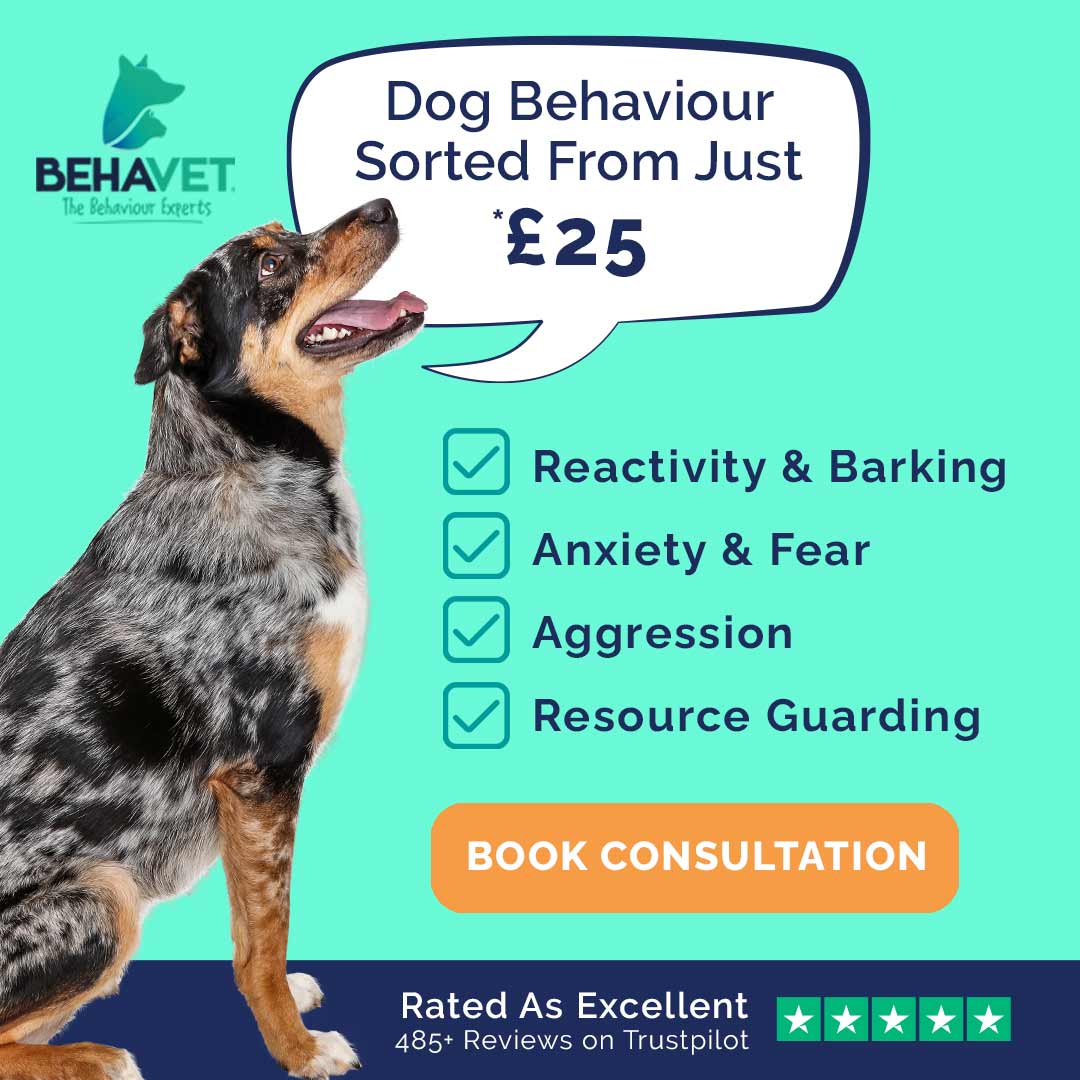 Behavet: The Pet Behaviour Experts Facebook ad