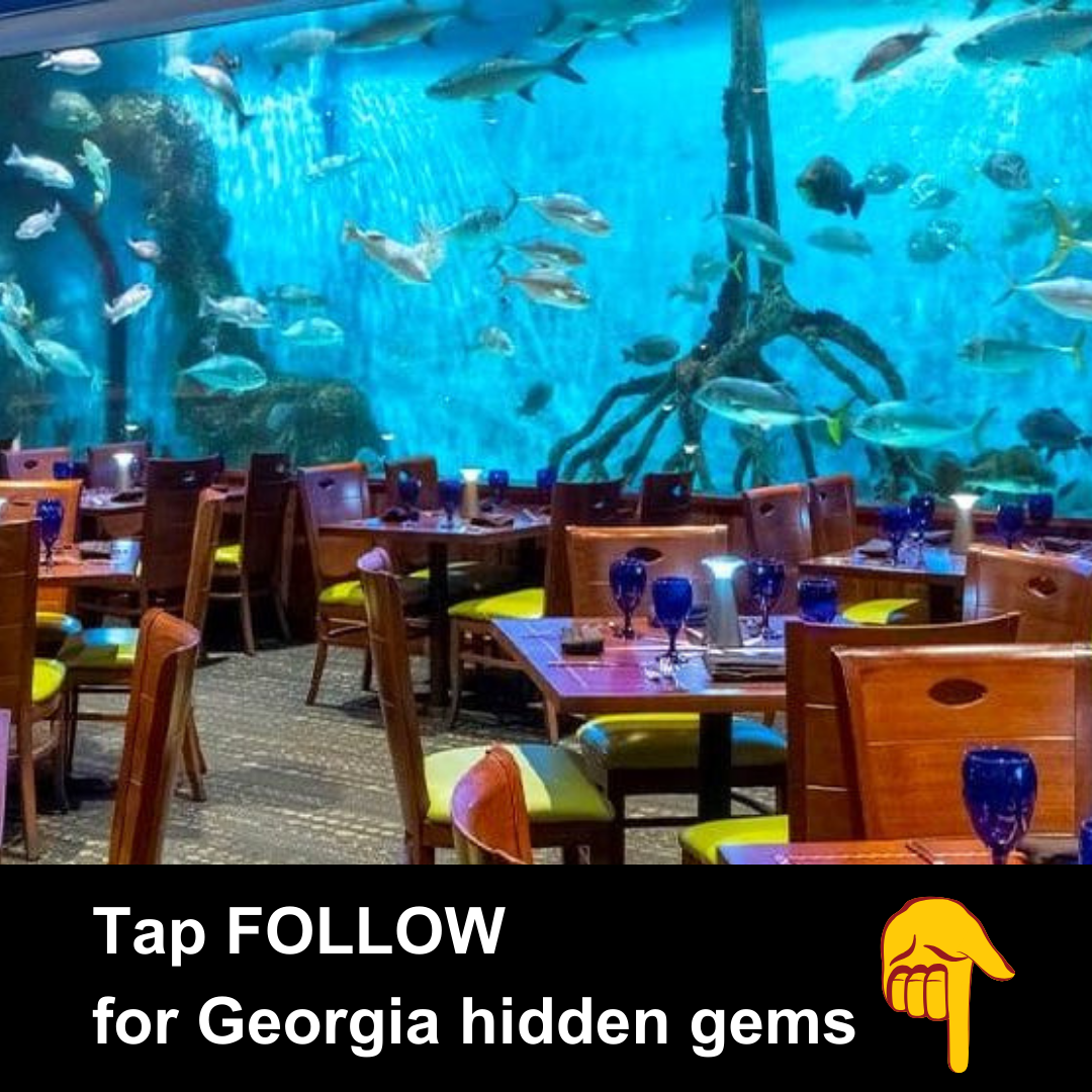 Georgia Day Trips Facebook ad