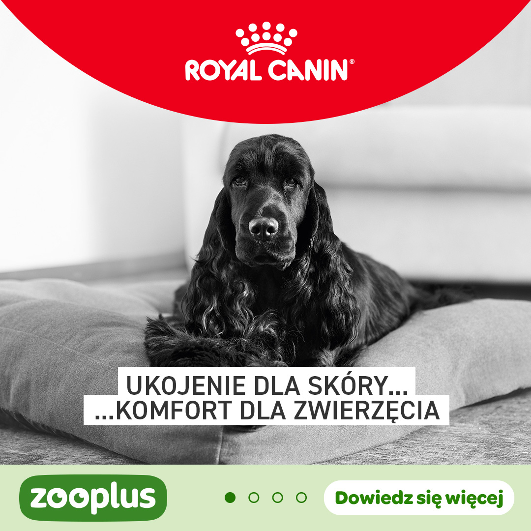 zooplus Facebook ad