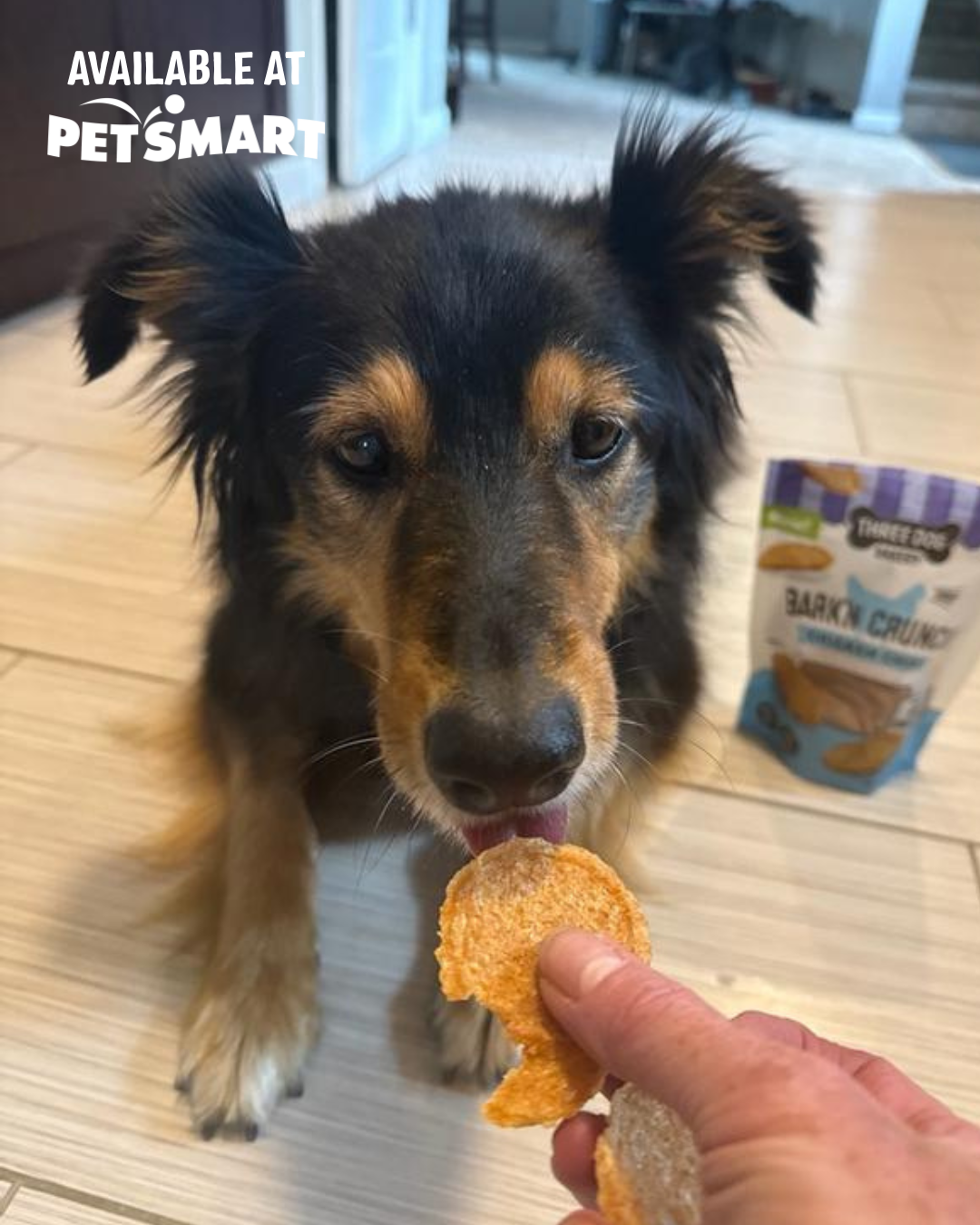 Three Dog Bakery Facebook ad