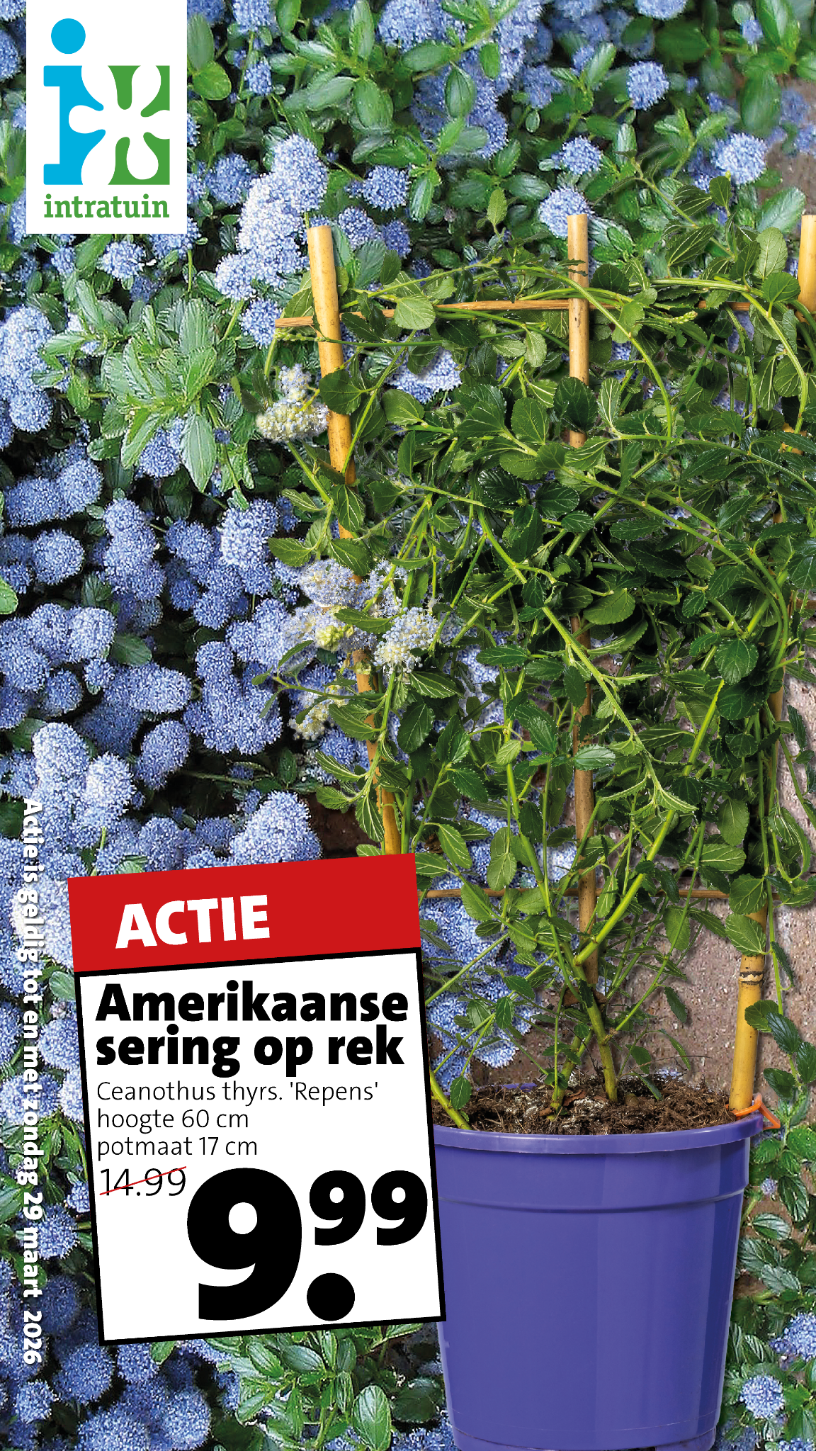 Intratuin Nuenen Facebook ad from Mar 23, 2026