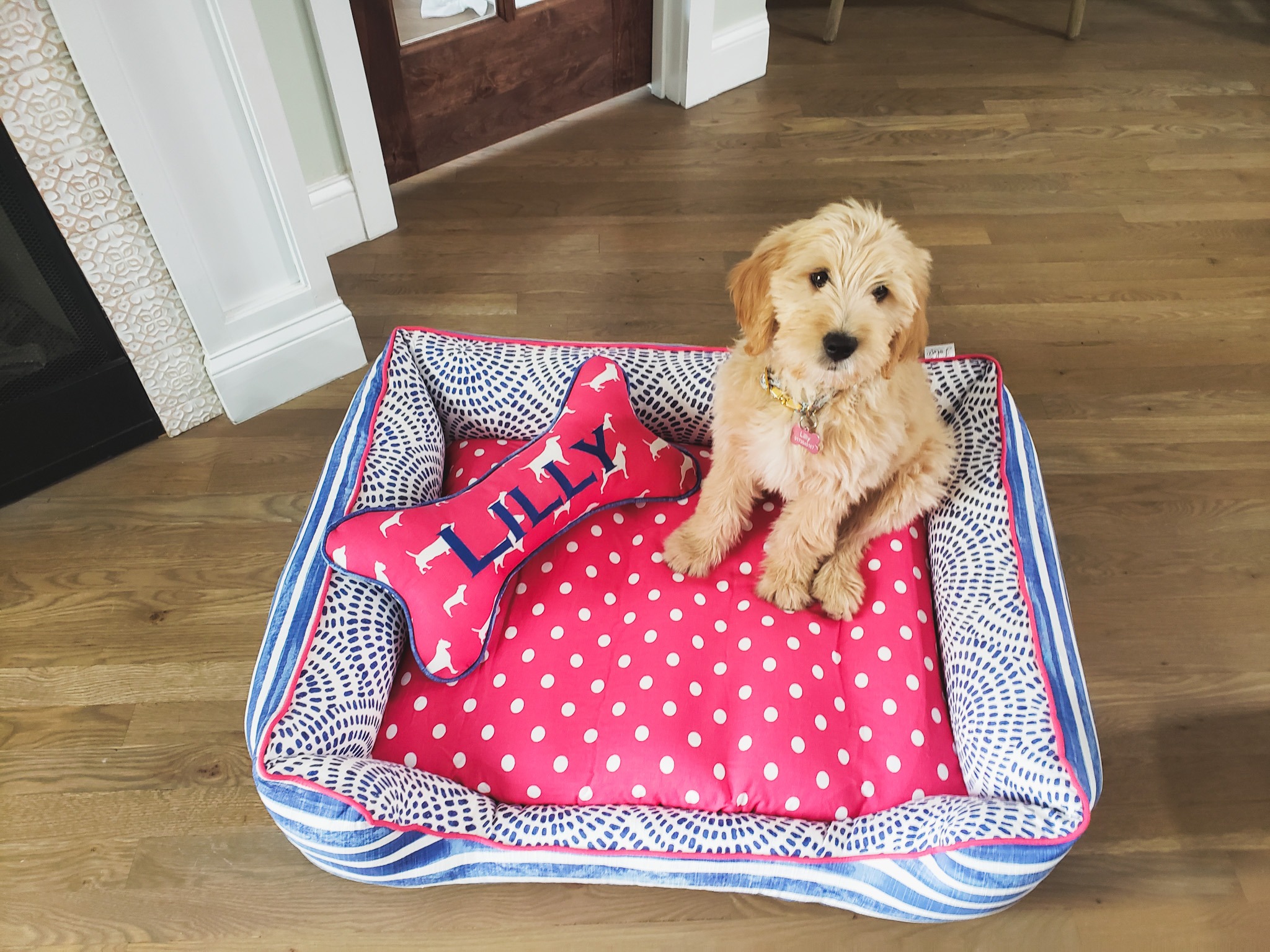 J'adore Custom Pet Beds Facebook ad
