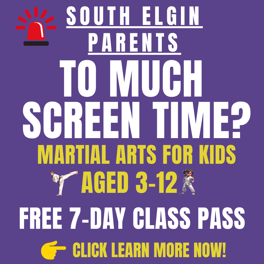 Premier Martial Arts Facebook ad