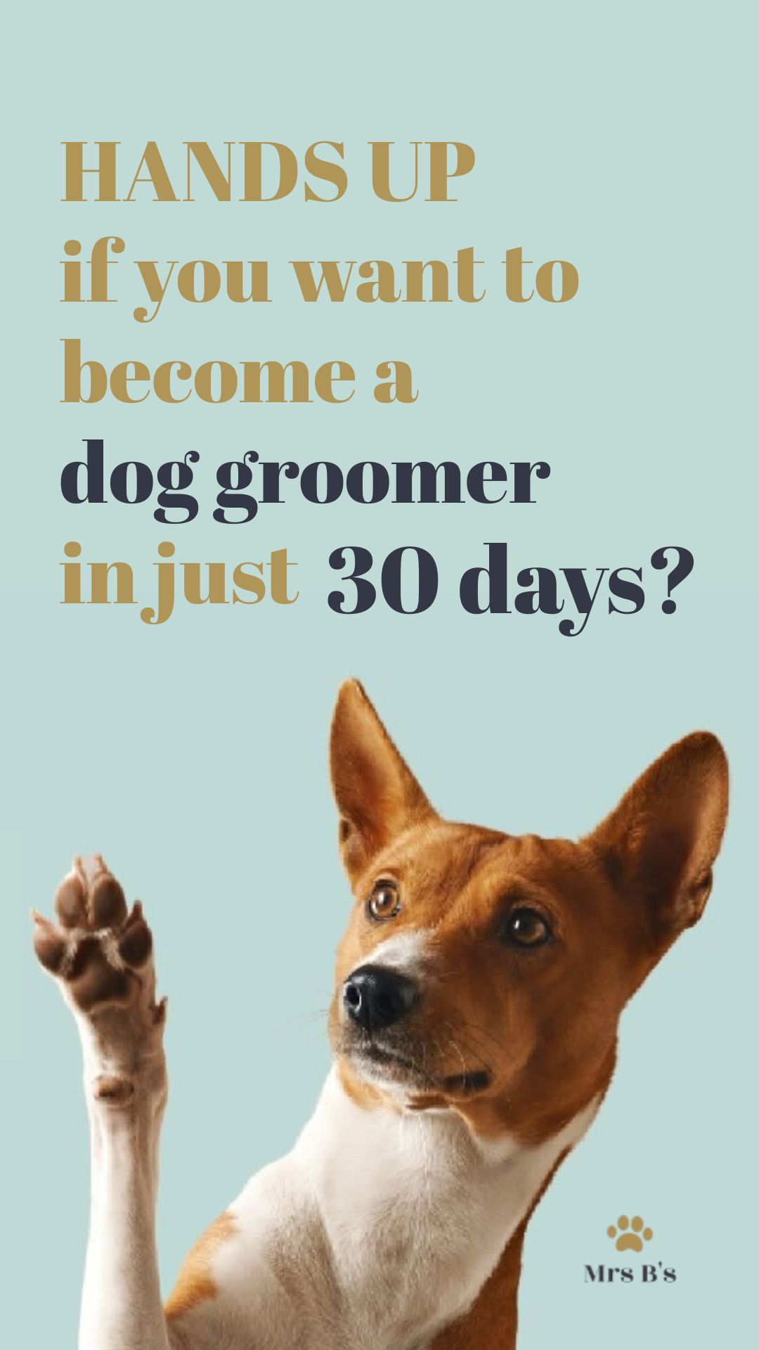 Mrs B's Dog Grooming & Grooming Academy Facebook ad