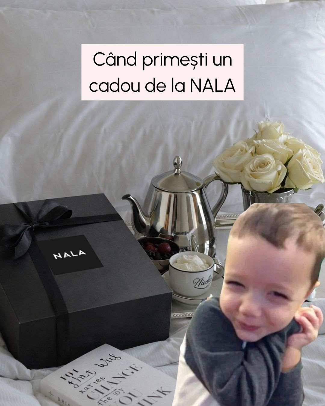 NALA Natural Cosmetics Facebook ad