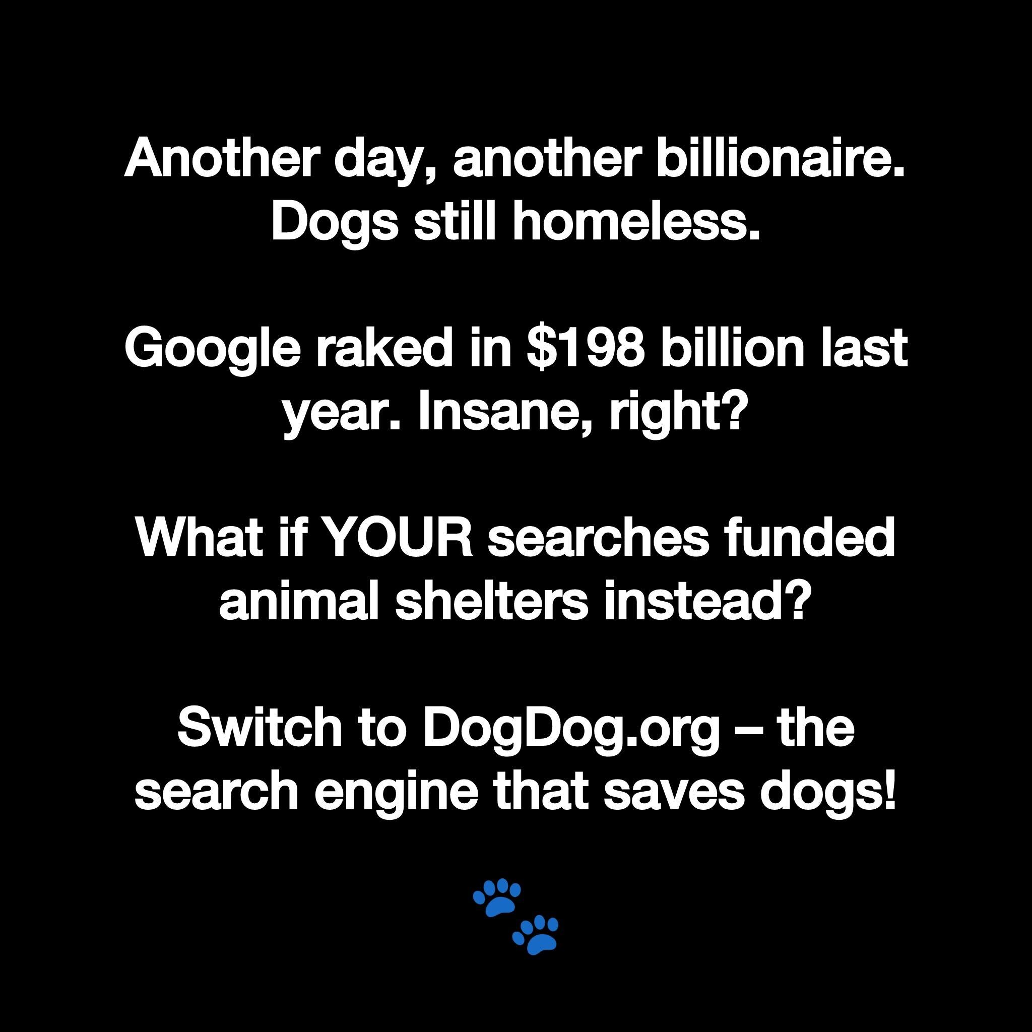 DogDog - the search engine that saves dogs Facebook ad