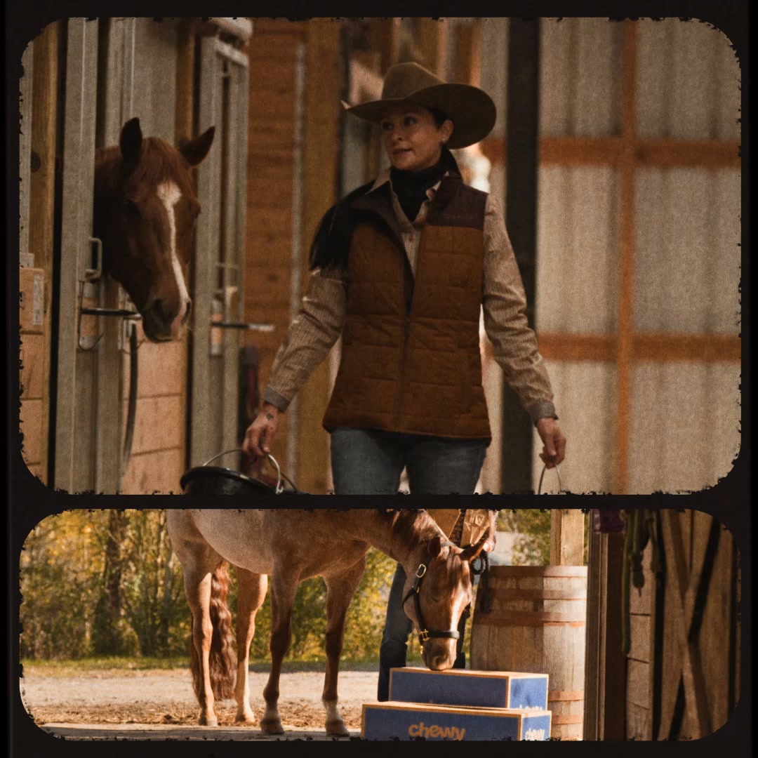 Chewy Facebook ad: Fall horse care covered